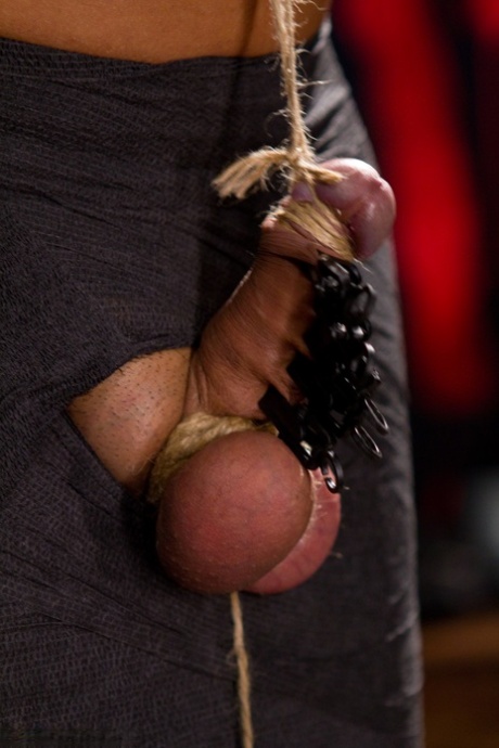 Hotties Wild and Creative Femdom se unen a un lindo tipo y atormenta su polla y bolas
